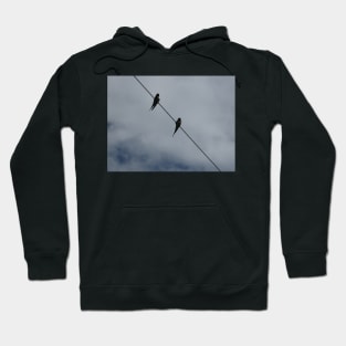 Birds On A Wire Hoodie